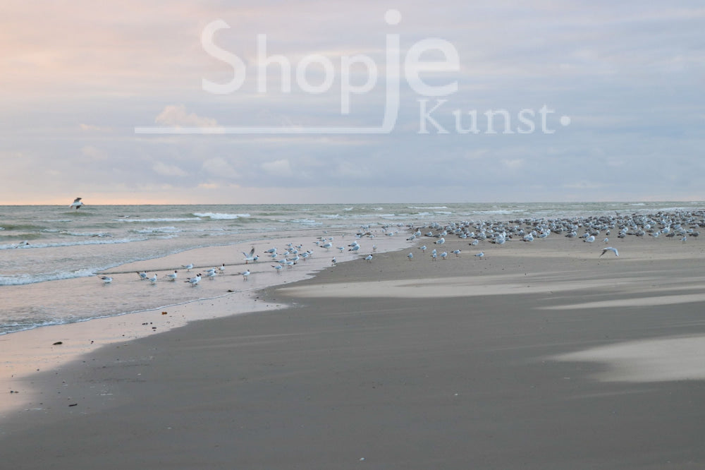 Digitale Foto Panorama Zee Fotografie & Prints