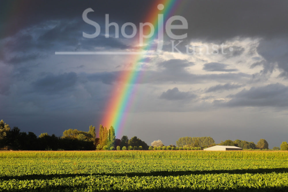 Digitale Foto Regenboog Fotografie & Prints