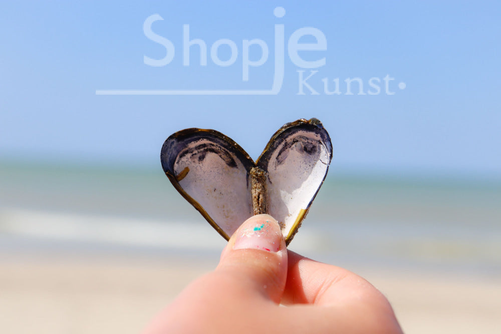 Digitale Foto Schelpje Fotografie & Prints