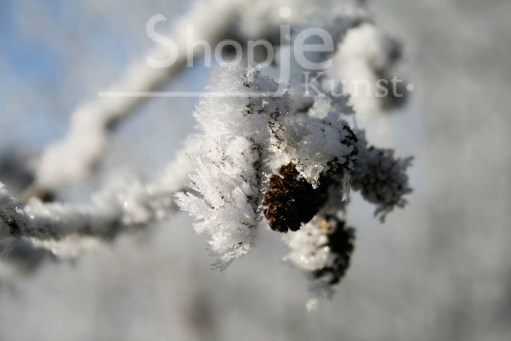 Digitale Foto Winter Wonderland Fotografie & Prints
