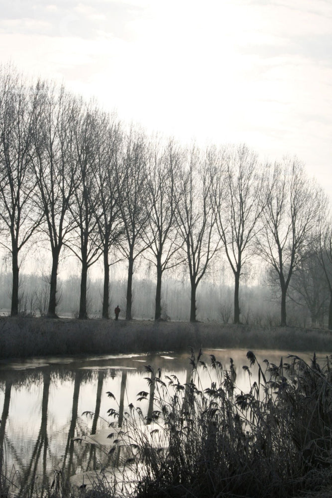 Digitale Foto Winterslandschap Fotografie & Prints