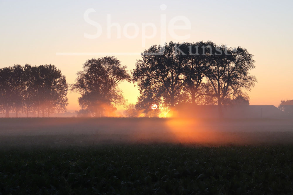 Digitale Foto Sunset In Eethen Fotografie & Prints